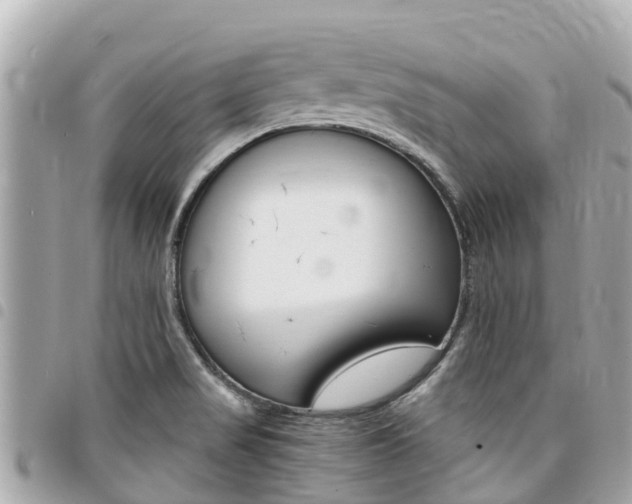 X0000095521517200712140858