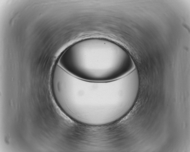 X0000095521518200712140858