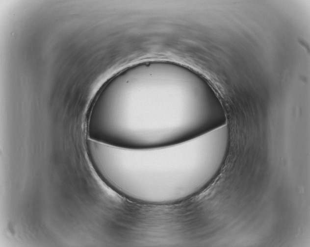 X0000095521519200712140858