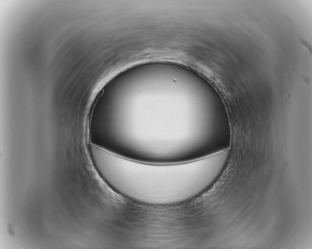 X0000095521520200712140858