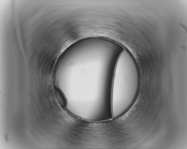 X0000095521521200712140858