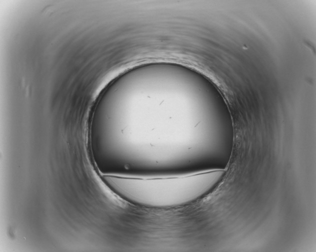 X0000095521523200712140858
