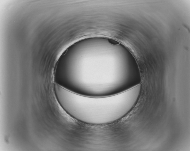 X0000095521524200712140858