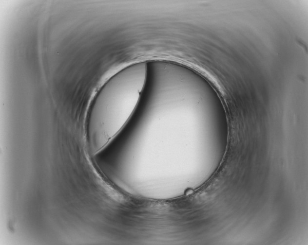 X0000095521525200712140858
