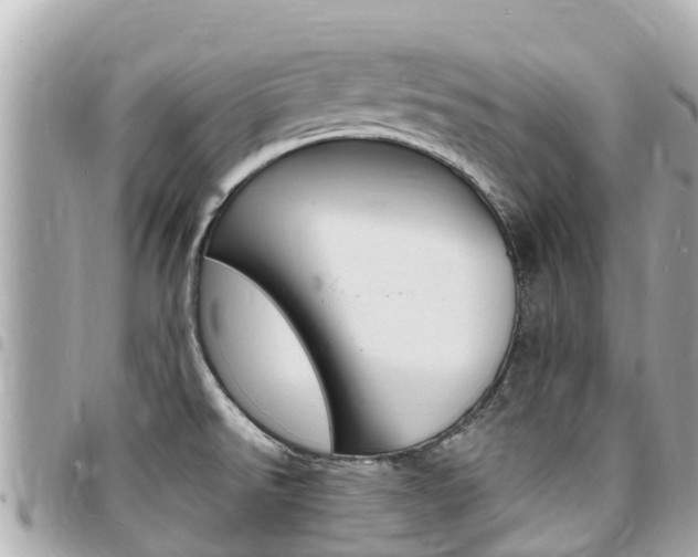 X0000095521526200712140858