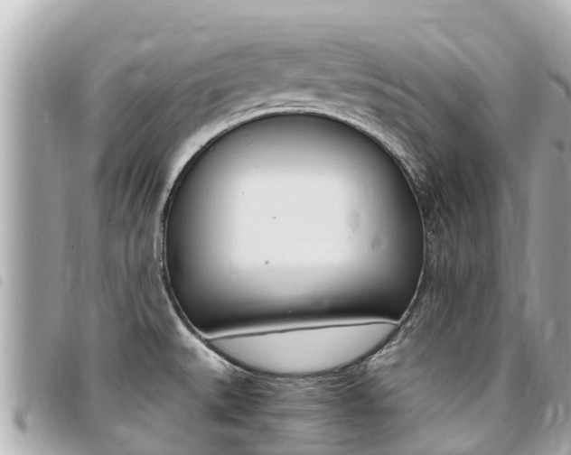 X0000095521527200712140858