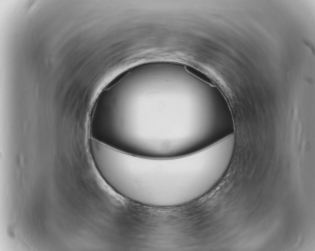 X0000095521528200712140858