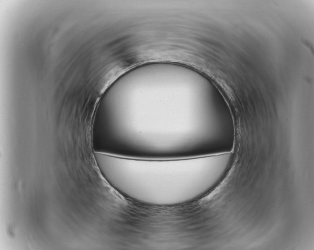 X0000095521529200712140858