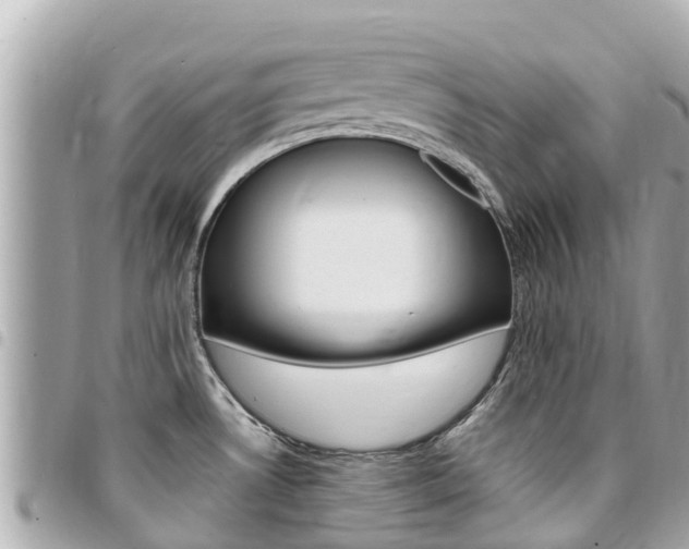 X0000095521530200712140858
