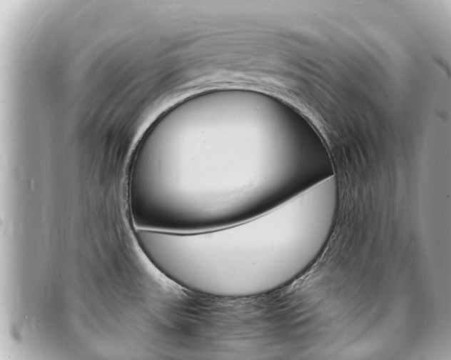 X0000095521531200712140858