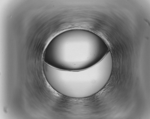 X0000095521532200712140858