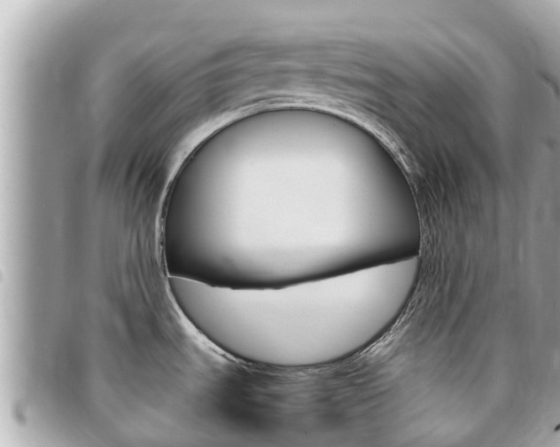 X0000095521535200712140858