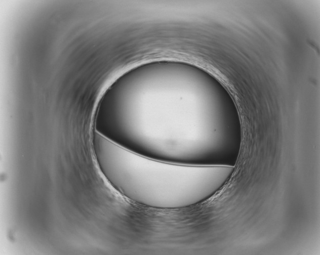 X0000095521536200712140858