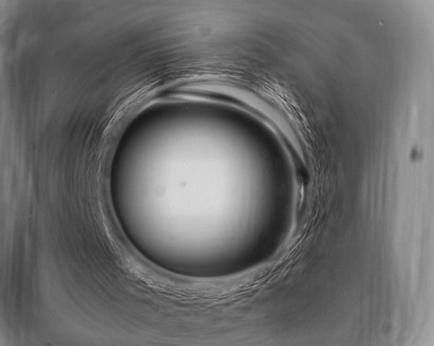 X0000095520001200712141456