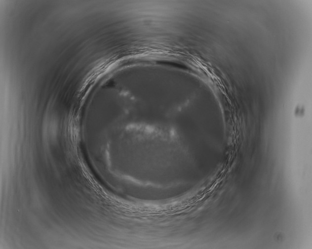 X0000095520002200712141456