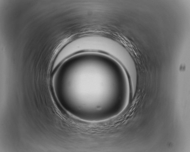 X0000095520003200712141456