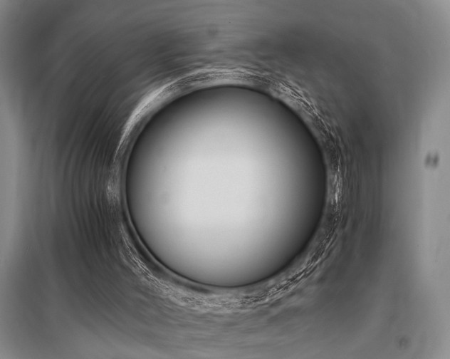 X0000095520004200712141456