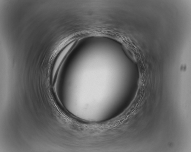 X0000095520005200712141456