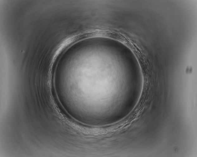 X0000095520006200712141456