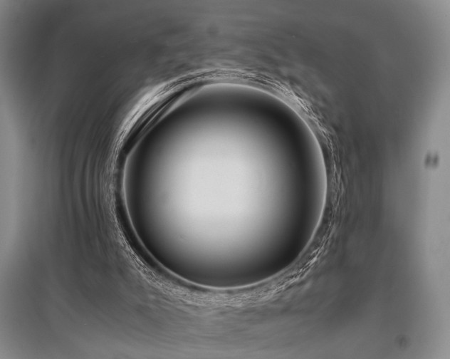 X0000095520007200712141456