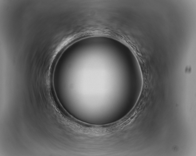 X0000095520008200712141456