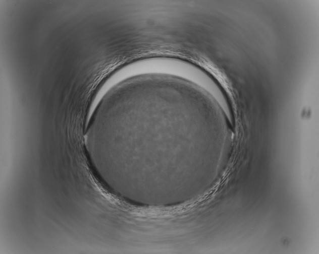 X0000095520009200712141456