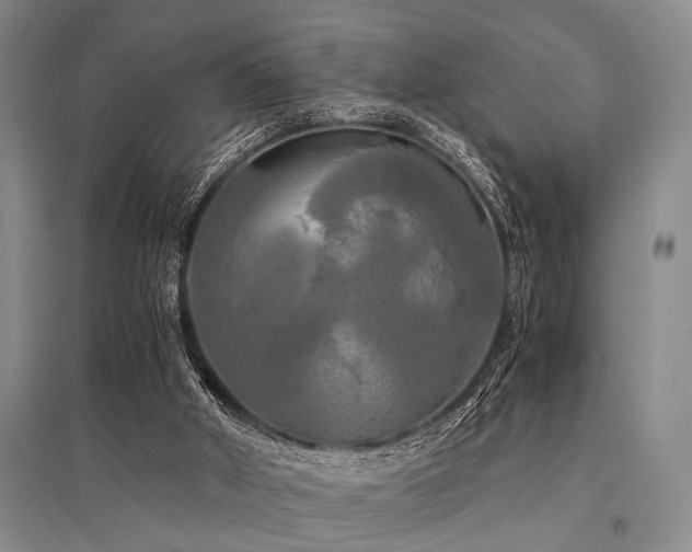 X0000095520010200712141456