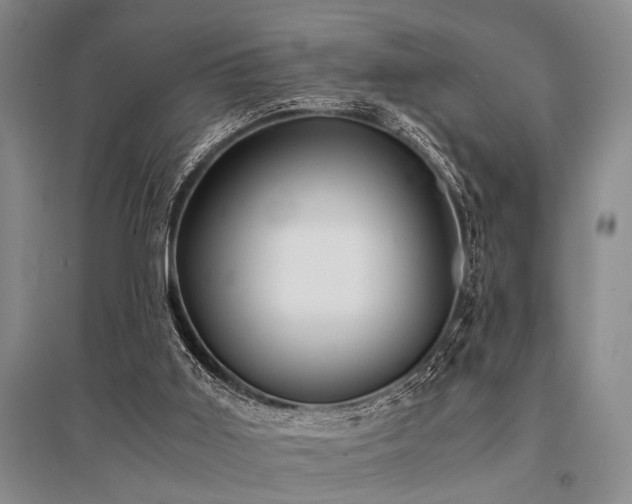 X0000095520011200712141456