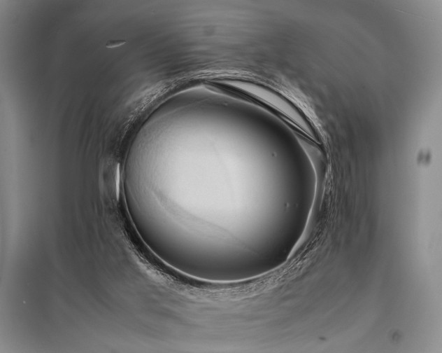 X0000095520013200712141456