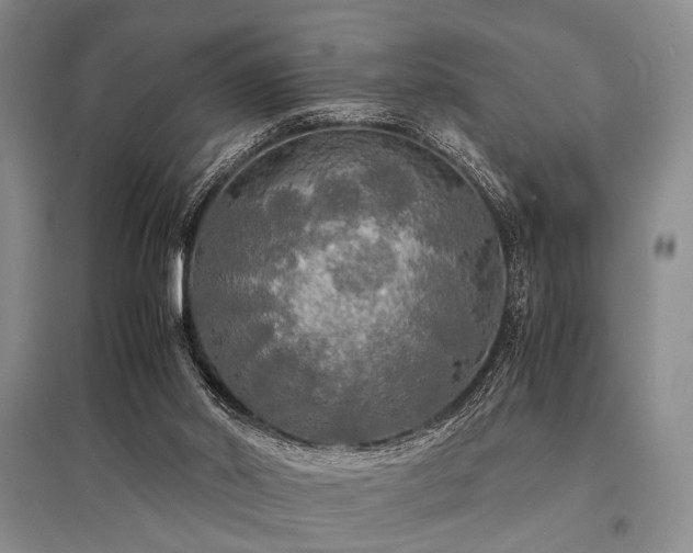 X0000095520014200712141456