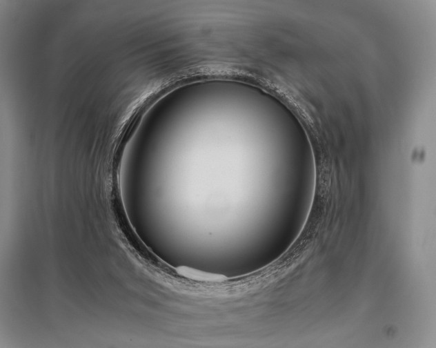 X0000095520015200712141456