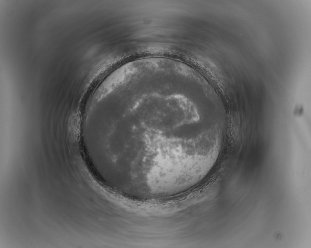 X0000095520016200712141456