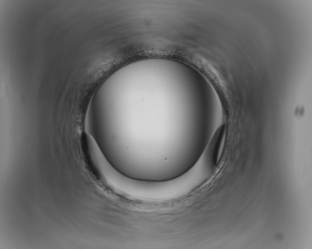 X0000095520017200712141456