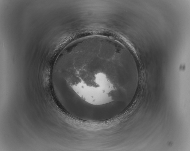 X0000095520018200712141456