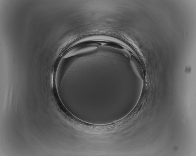 X0000095520019200712141456