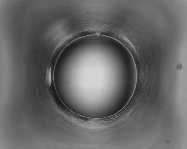 X0000095520020200712141456