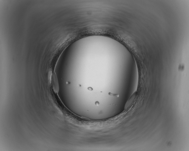 X0000095520021200712141456