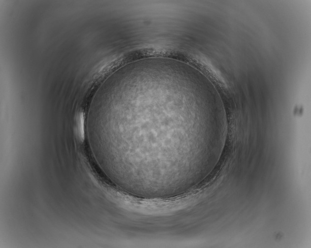 X0000095520022200712141456