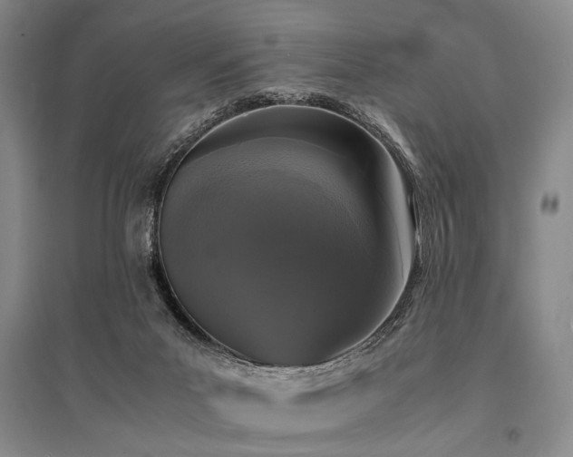 X0000095520023200712141456