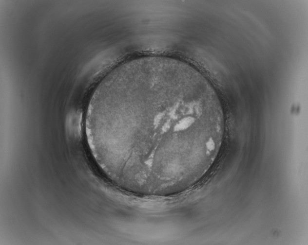 X0000095520024200712141456