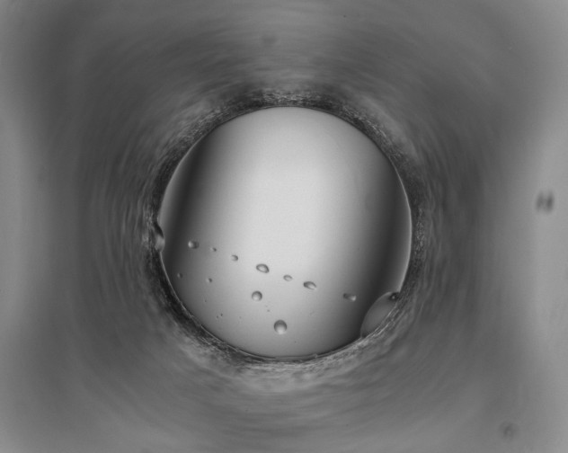 X0000095520025200712141456