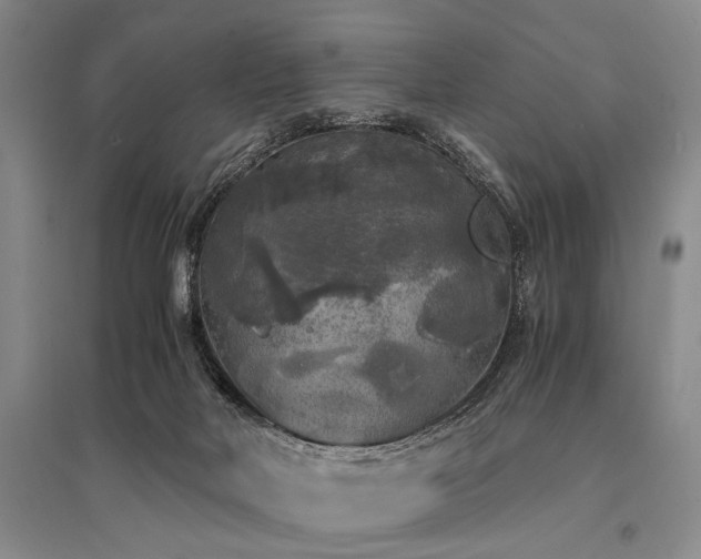 X0000095520026200712141456