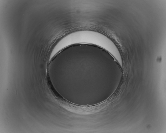 X0000095520027200712141456