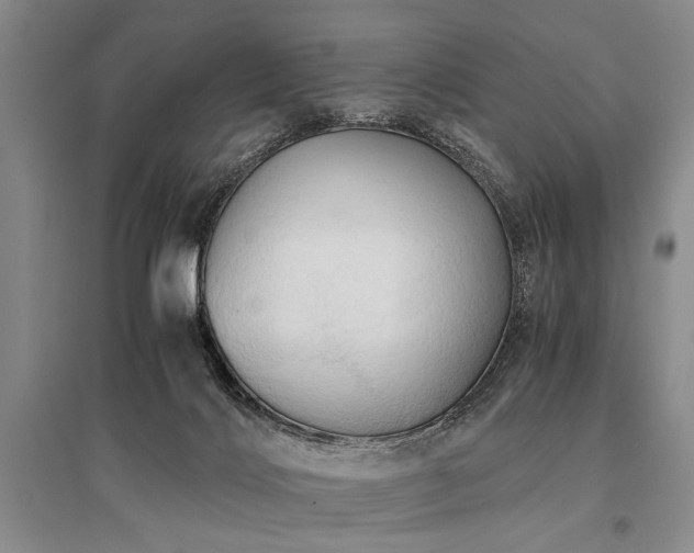 X0000095520028200712141456