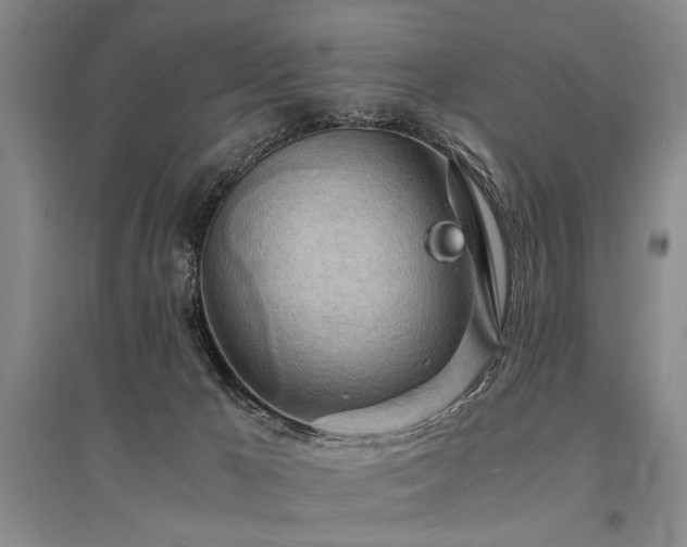 X0000095520029200712141456