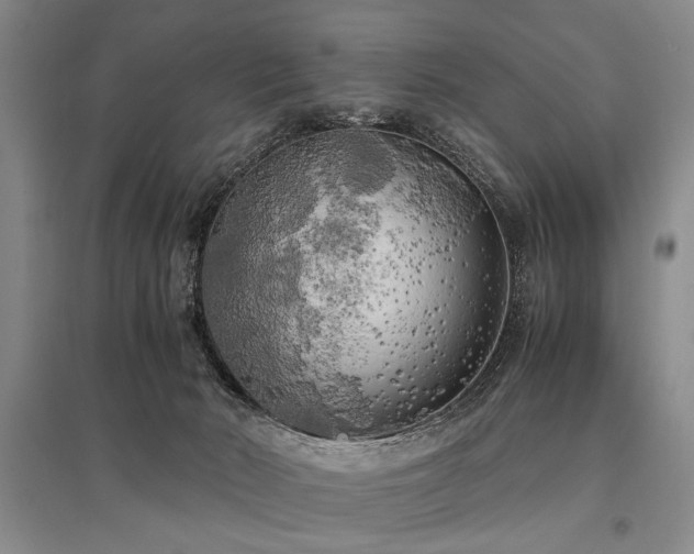 X0000095520030200712141456