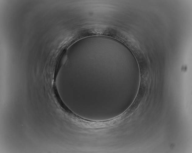 X0000095520031200712141456