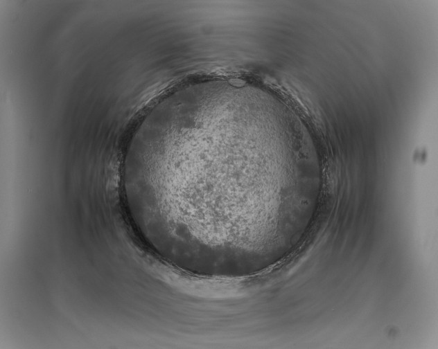 X0000095520032200712141456