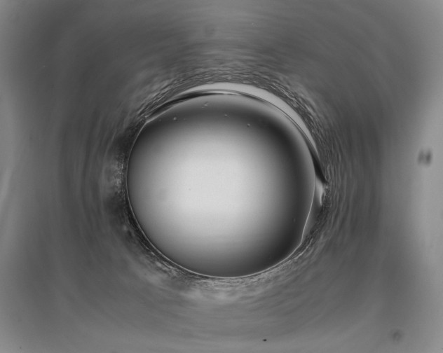 X0000095520033200712141456