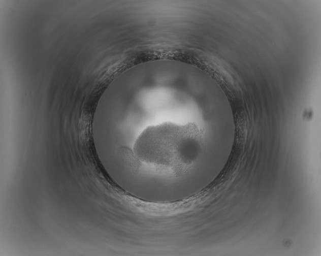 X0000095520034200712141456